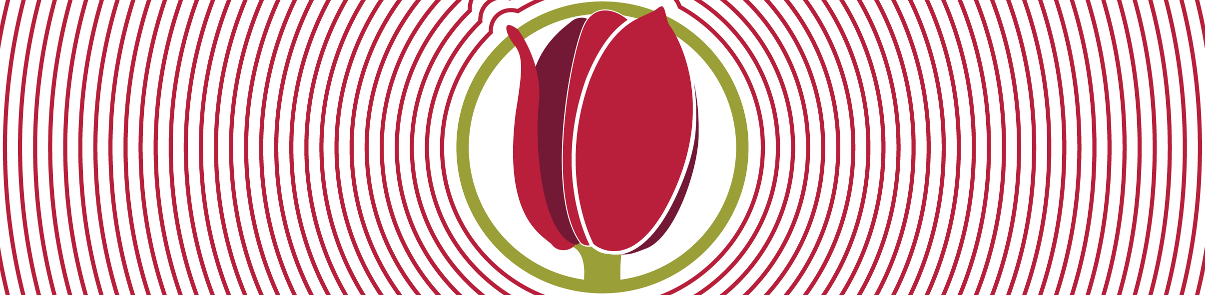 Tulip Banner